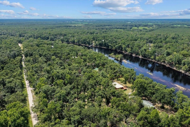 16552 198th Trace, Trace, FL 32071 - aerial view of a forest and a nearby body of water