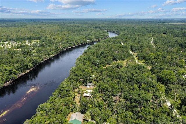 16552 198th Trace, Trace, FL 32071 - bird's eye view of a heavily wooded area and a large body of water
