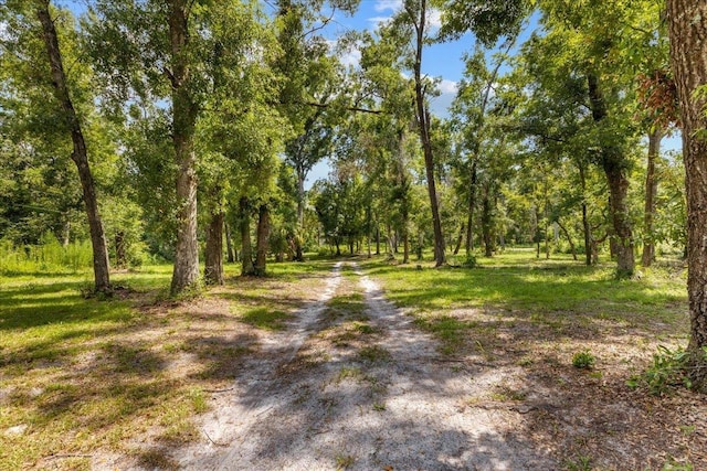 16552 198th Trace, Trace, FL 32071 - view of road with a wooded view