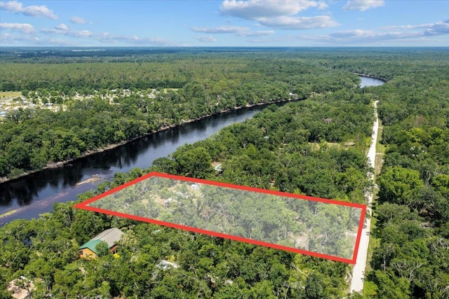 16552 198th Trace, Trace, FL 32071 - view of property location featuring a large body of water and property parcel outlined