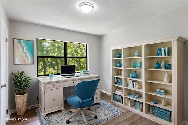 16552 198th Trace, Trace, FL 32071 - home office featuring light wood-type flooring and baseboards