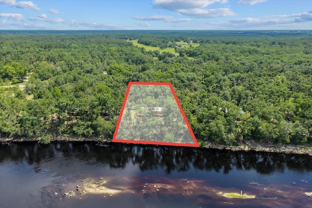 16552 198th Trace, Trace, FL 32071 - aerial overview of property's location with a large body of water and property boundaries highlighted