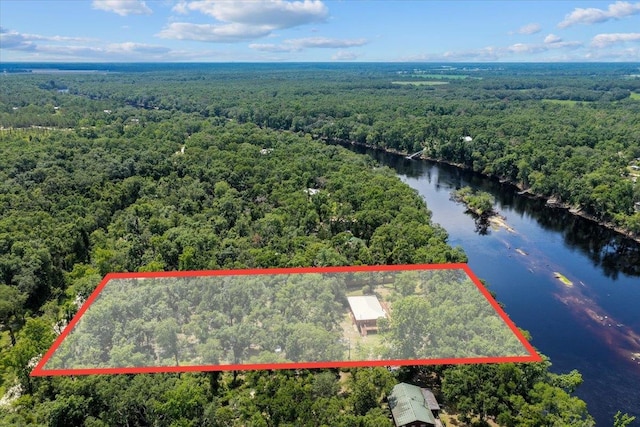 16552 198th Trace, Trace, FL 32071 - aerial view of property's location with a nearby body of water and property parcel outlined