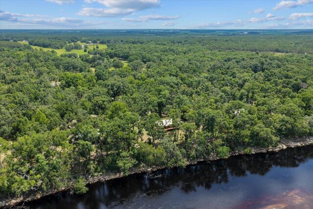 16552 198th Trace, Trace, FL 32071 - aerial view of a heavily wooded area and a nearby body of water