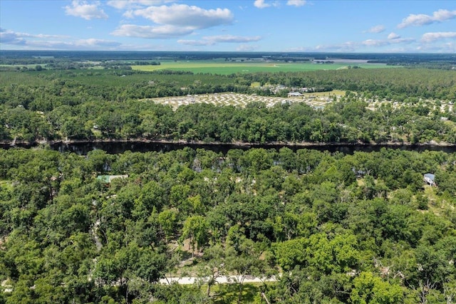 16552 198th Trace, Trace, FL 32071 - aerial view of a forest and a nearby body of water