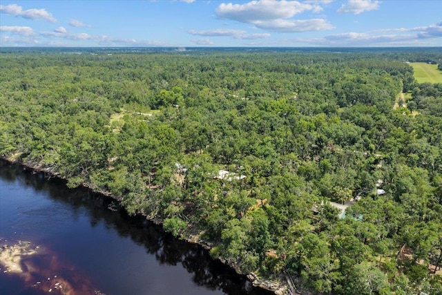 16552 198th Trace, Trace, FL 32071 - bird's eye view of a forest and a nearby body of water