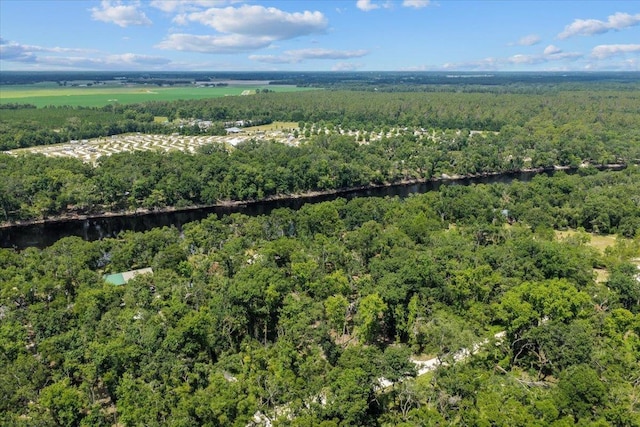 16552 198th Trace, Trace, FL 32071 - bird's eye view of a forest and a large body of water
