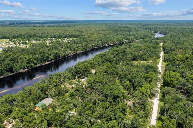 16552 198th Trace, Trace, FL 32071 - bird's eye view of a forest and a large body of water