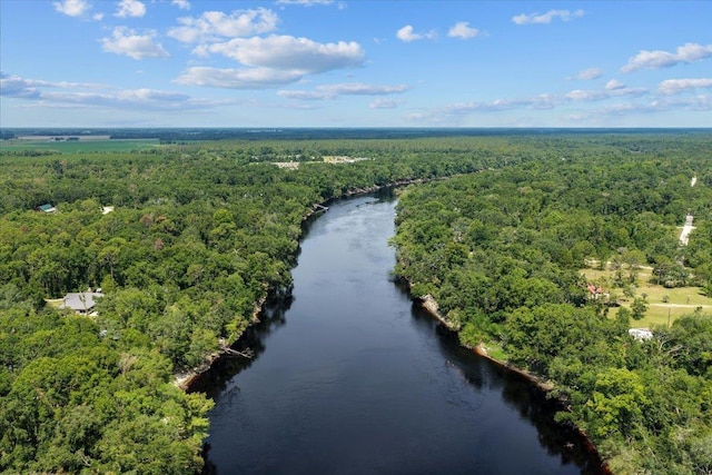 16552 198th Trace, Trace, FL 32071 - aerial view of a heavily wooded area and a nearby body of water