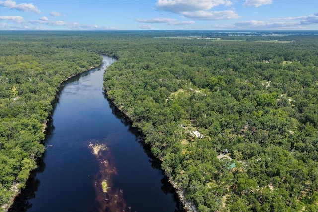 16552 198th Trace, Trace, FL 32071 - bird's eye view of a forest and a nearby body of water