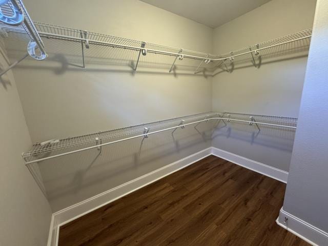 walk in closet featuring dark hardwood / wood-style flooring