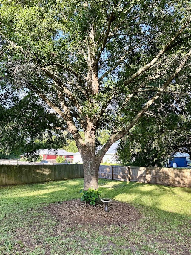 3646 Homestead Rd, Tallahassee, FL 32309 - view of yard
