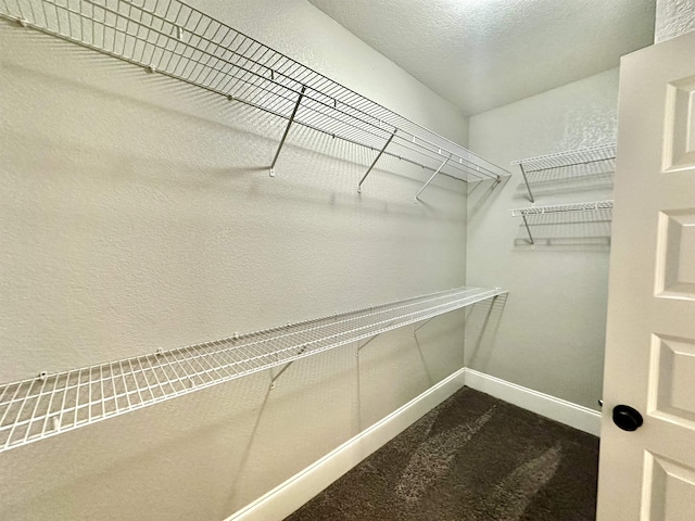 3646 Homestead Rd, Tallahassee, FL 32309 - spacious closet featuring dark carpet