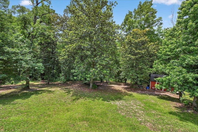 39 Wiregrass Ln, Quincy, FL 32351 - view of green lawn featuring a storage unit and a forest view