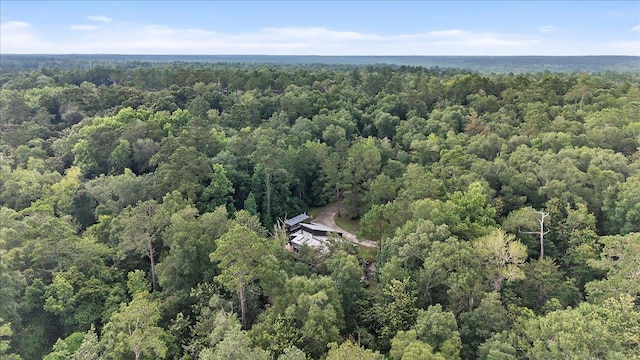 39 Wiregrass Ln, Quincy, FL 32351 - view of property location featuring a forest