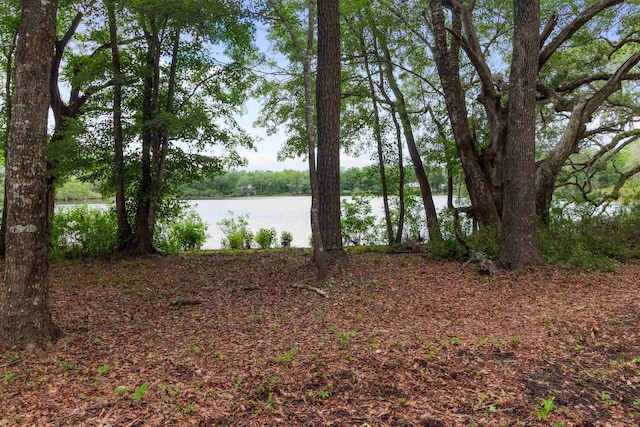 172 Friendship Church Rd, Crawfordville, FL 32327 - photo 23