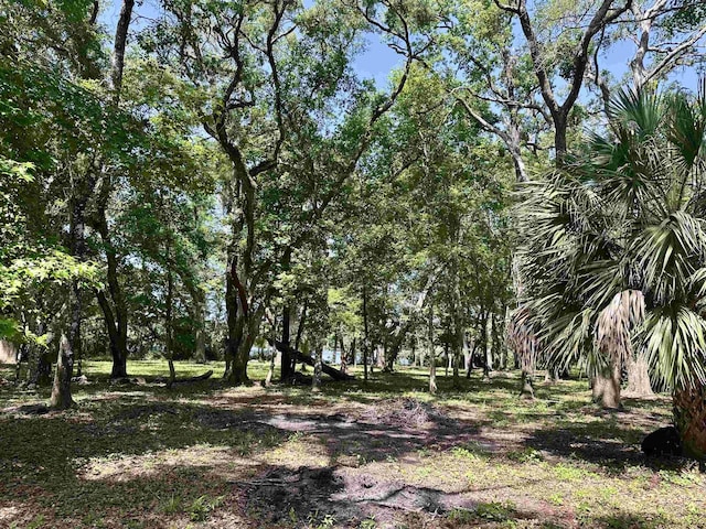 172 Friendship Church Rd, Crawfordville, FL 32327 - photo 26
