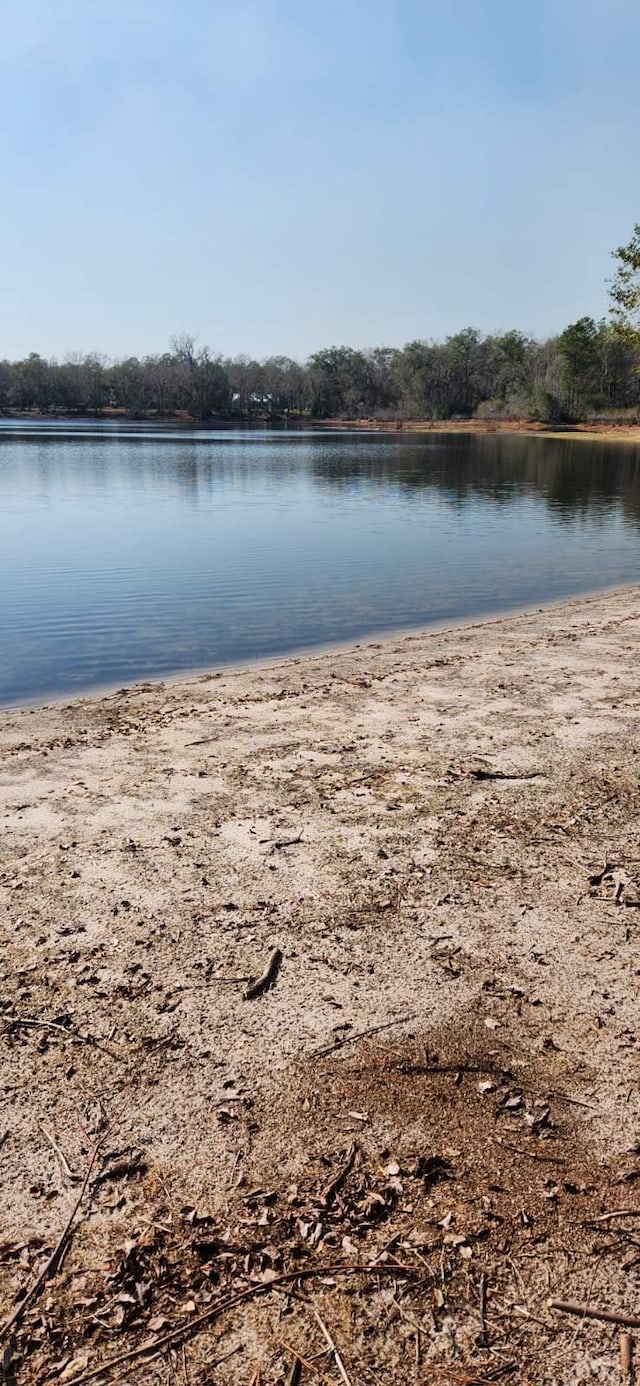 172 Friendship Church Rd, Crawfordville, FL 32327 - photo 20