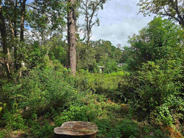 1209 Orlando Dr, Tallahassee, FL 32311 - photo 1