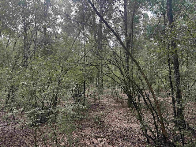 Listing photo 25 - caption unavailable