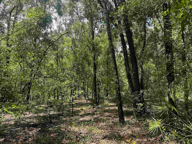 XXX NE Champion Loop, Lee FL, 32059 land for sale