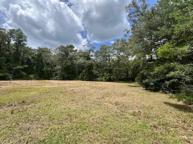 258 W J Hatchett Rd, Lamont FL, 32336 land for sale