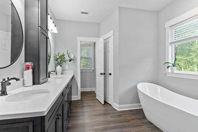 bathroom with a washtub, vanity, and hardwood / wood-style flooring