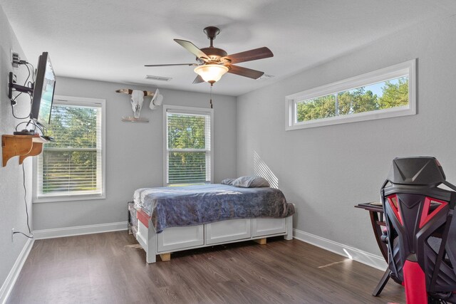 bedroom with dark hardwood / wood-style flooring, multiple windows, and ceiling fan