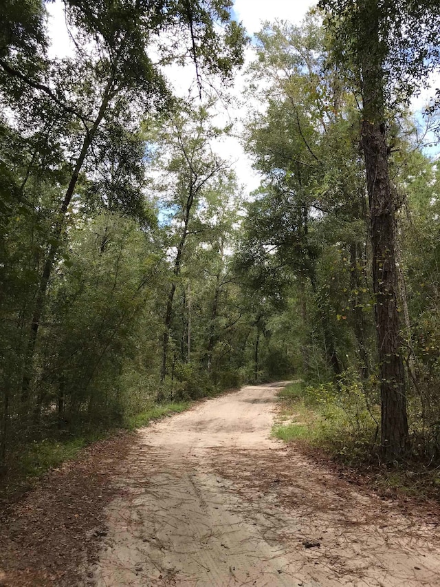 Listing photo 2 for 0 Andrew Spears Rd, Crawfordville FL 32327