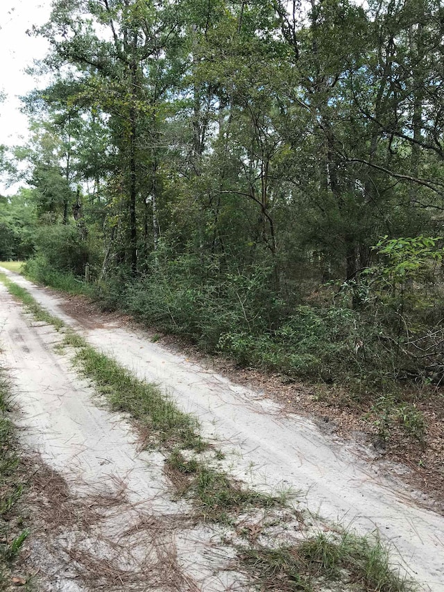 Listing photo 3 for 0 Andrew Spears Rd, Crawfordville FL 32327