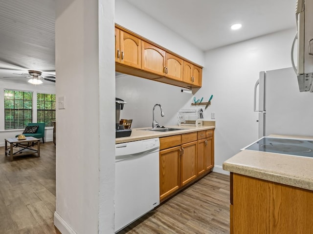 kitchen featuring light wood-type flooring, white appliances, ceiling fan, and sink