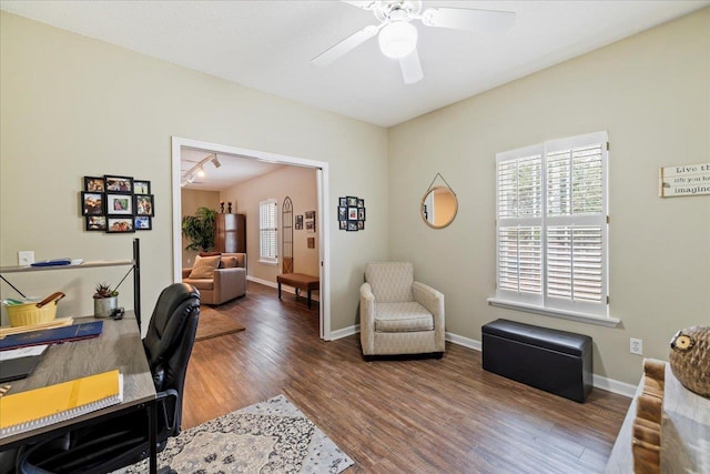 office space with hardwood / wood-style flooring, ceiling fan, and rail lighting