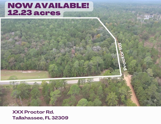0 Proctor Rd, Tallahassee, FL 32309 - photo 1