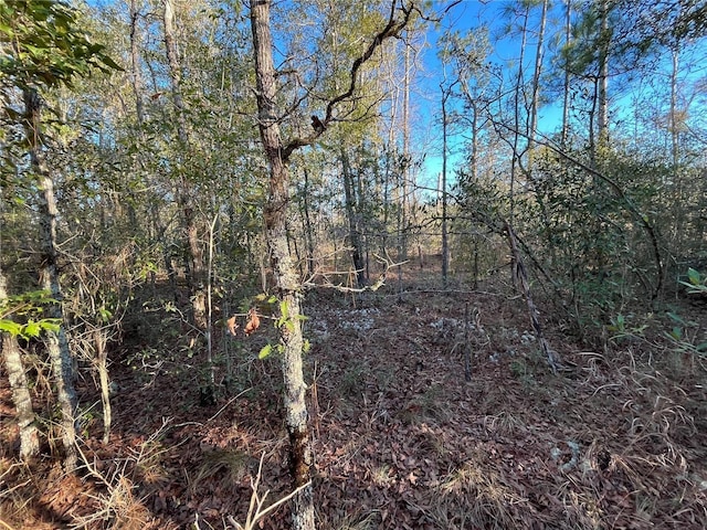 TBD Goreville Ave, Alford, FL 32420 - photo 2