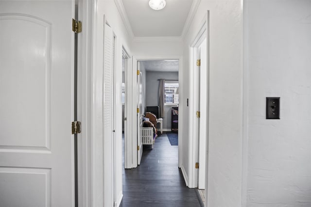 2025 Shadey Oaks Dr, Tallahassee, FL 32303 - hallway with dark wood-style flooring and crown molding