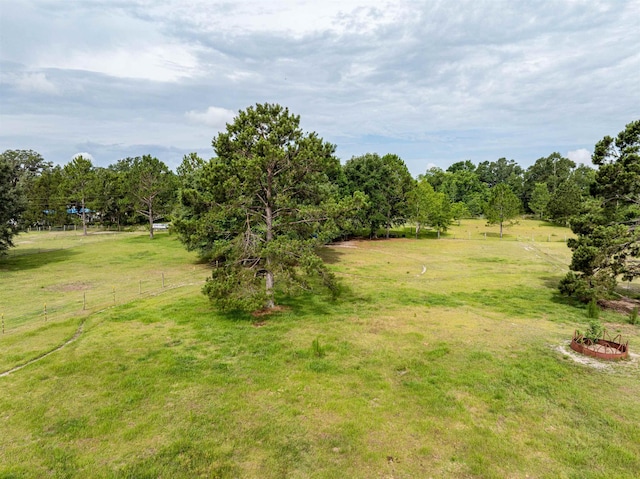 981 NW Radford Denson Rd, Greenville, FL 32331 - photo 8