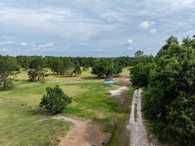 981 NW Radford Denson Rd, Greenville, FL 32331 - photo 4