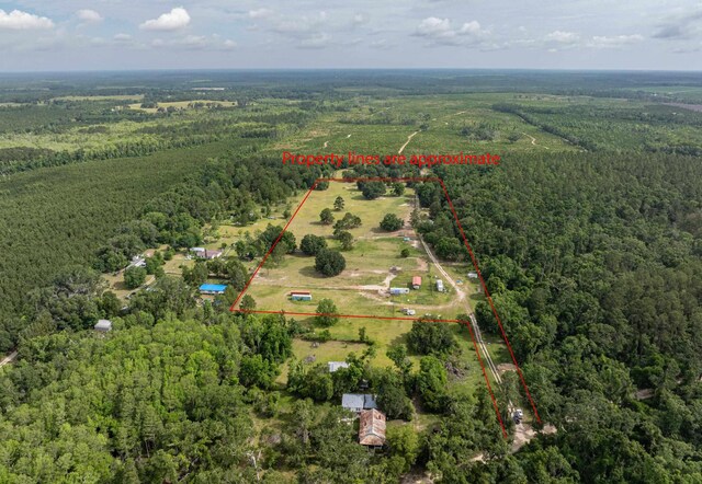 981 NW Radford Denson Rd, Greenville, FL 32331 - photo 14