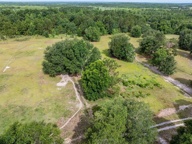 981 NW Radford Denson Rd, Greenville, FL 32331 - photo 18