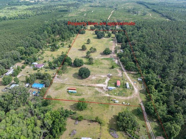 981 NW Radford Denson Rd, Greenville, FL 32331 - photo 1