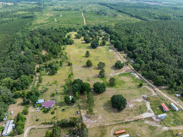 981 NW Radford Denson Rd, Greenville, FL 32331 - photo 11