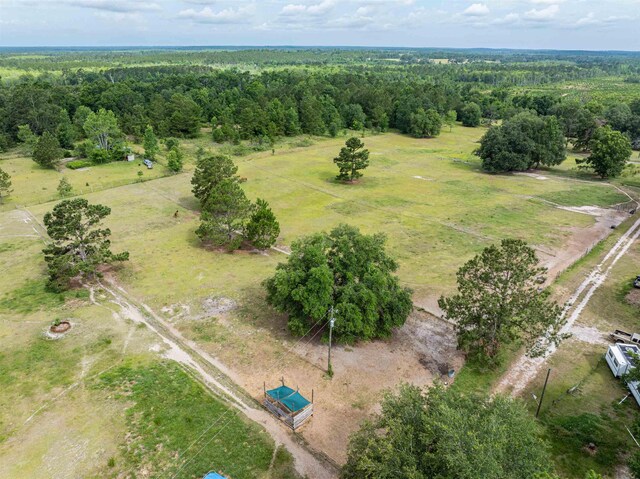 981 NW Radford Denson Rd, Greenville, FL 32331 - photo 24