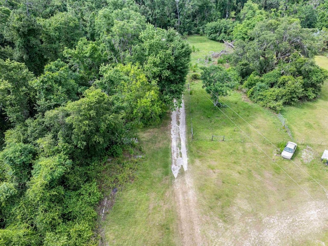981 NW Radford Denson Rd, Greenville, FL 32331 - photo 26