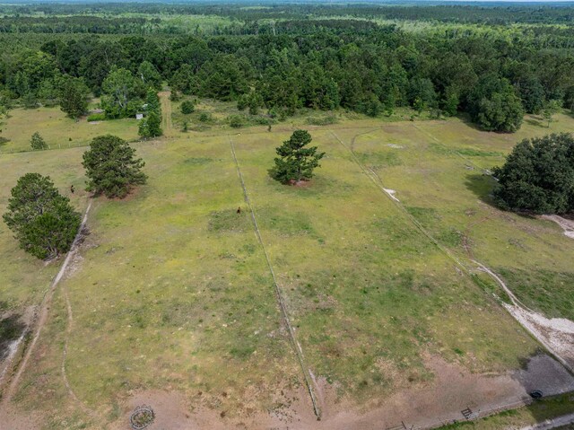 981 NW Radford Denson Rd, Greenville, FL 32331 - photo 16