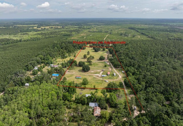981 NW Radford Denson Rd, Greenville, FL 32331 - photo 13
