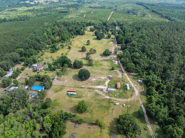 981 NW Radford Denson Rd, Greenville, FL 32331 - photo 12
