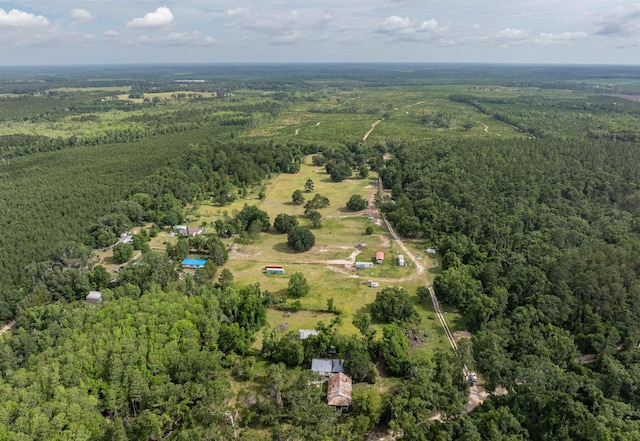 981 NW Radford Denson Rd, Greenville, FL 32331 - photo 15