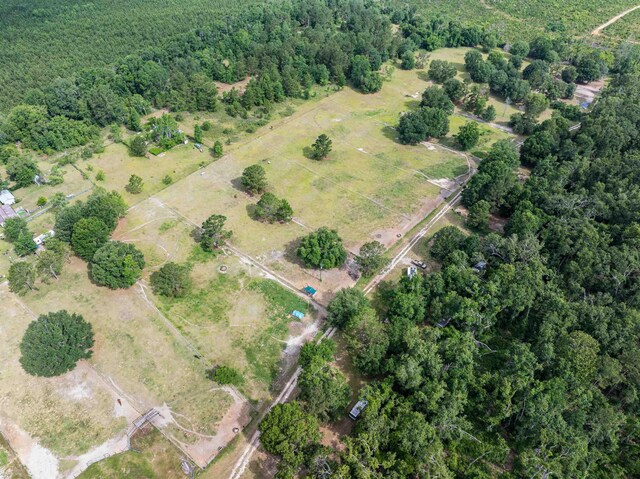 981 NW Radford Denson Rd, Greenville, FL 32331 - photo 20
