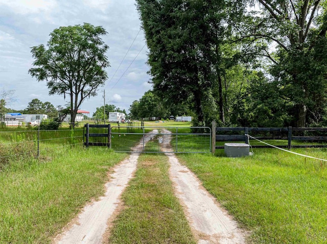 981 NW Radford Denson Rd, Greenville, FL 32331 - photo 3