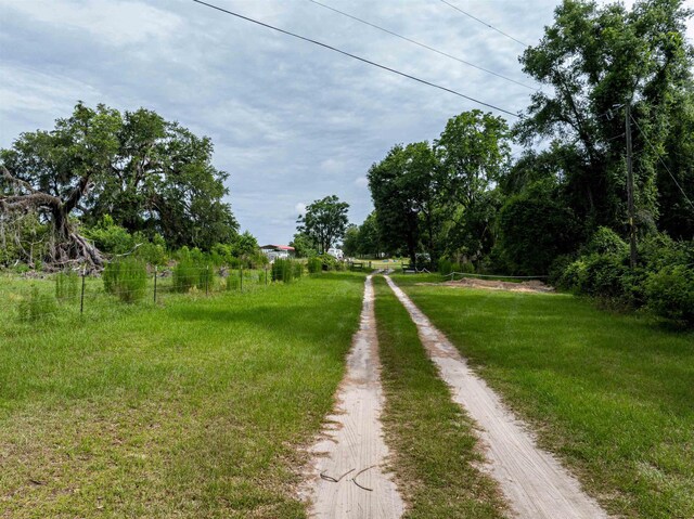 981 NW Radford Denson Rd, Greenville, FL 32331 - photo 2